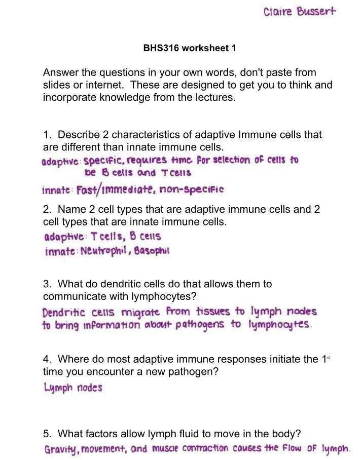 Adaptive and Innate Immune Cells Worksheet