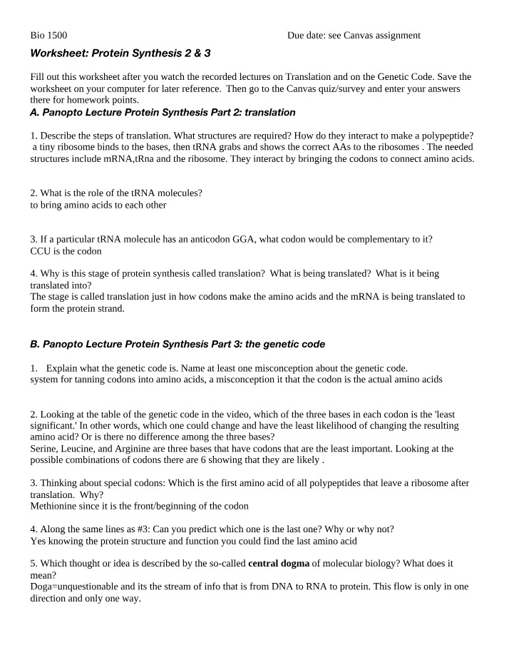 Worksheet on Protein Synthesis