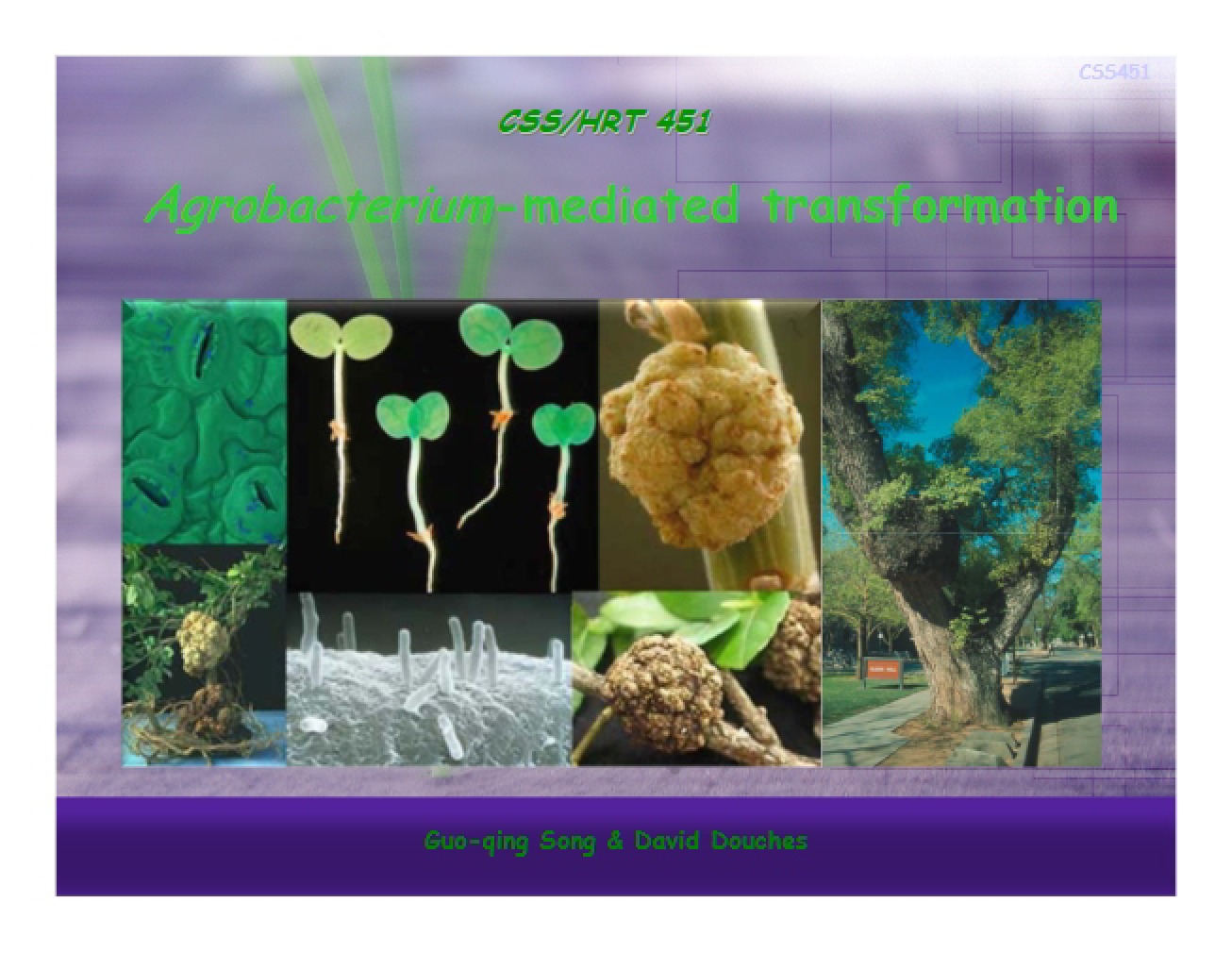 Agro Week 2 PT (2009)