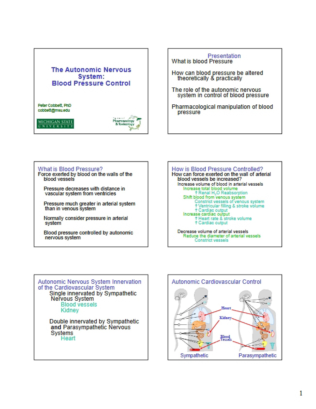 Blood Pressure Control Autonomic Nervous System