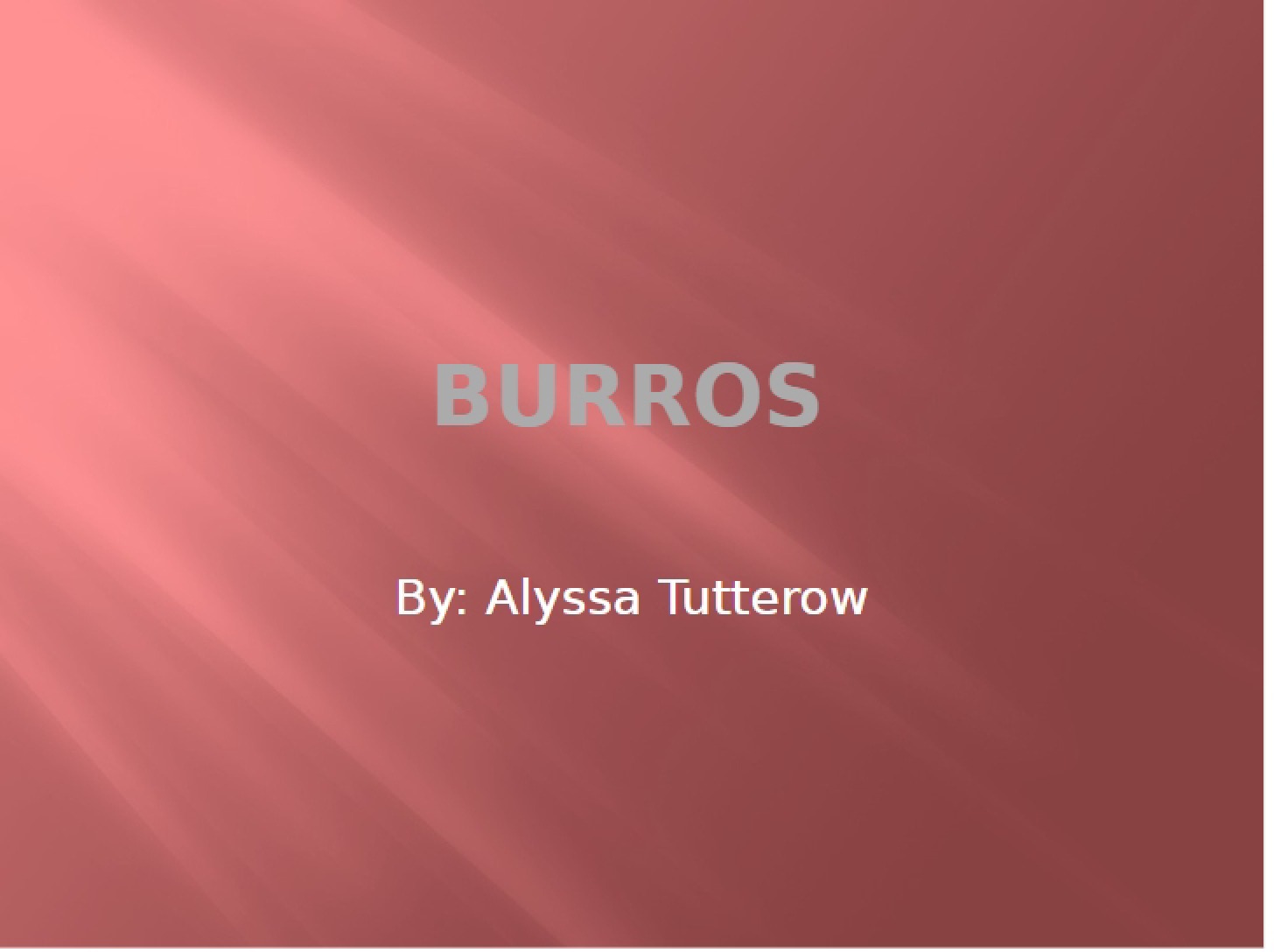 Wild Burros of the Desert
