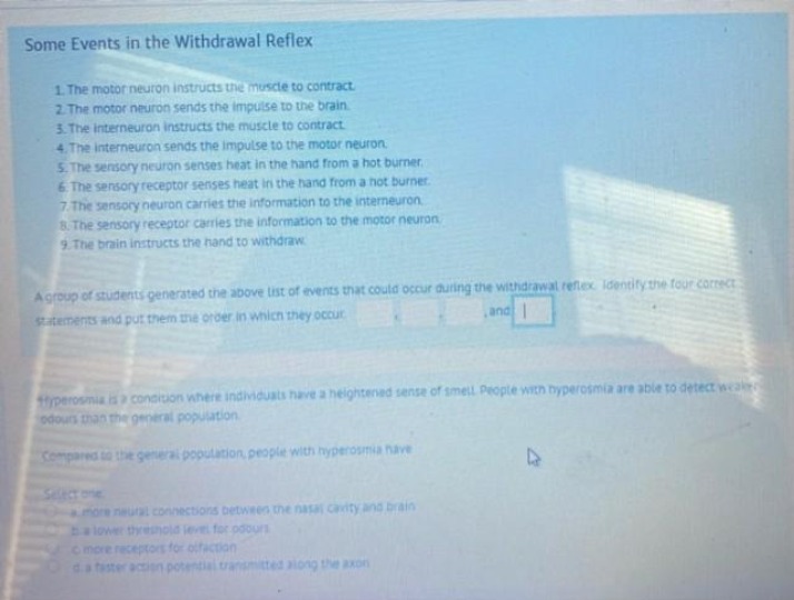Study Questions on Withdrawal Reflex and Hyperosmia