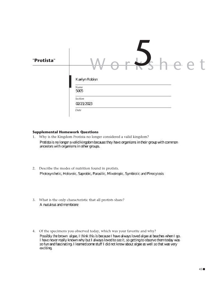 Kingdom Protista Lab Questions and Worksheet