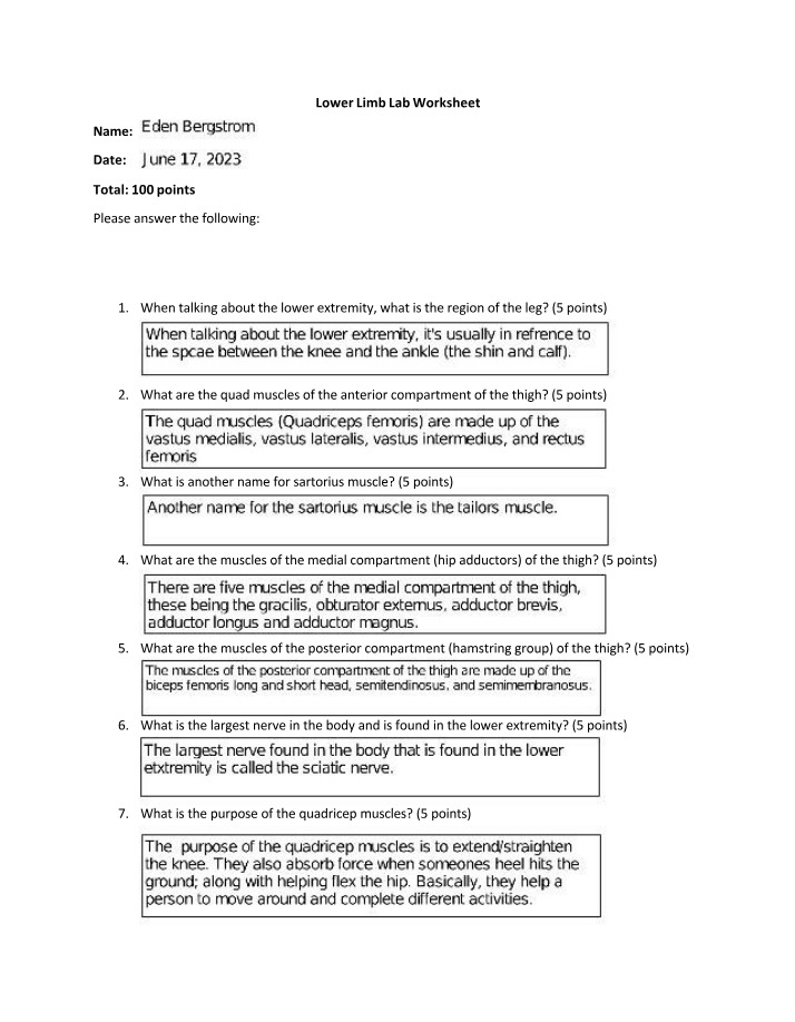 Lab Worksheet on the Lower Limb