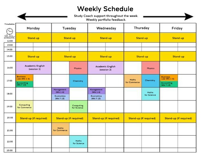 Weekly Study Schedule and Portfolio