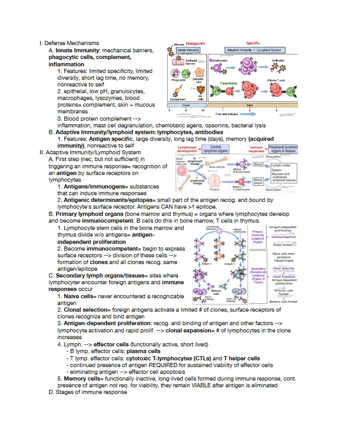Lecture Review of Lymphoid System