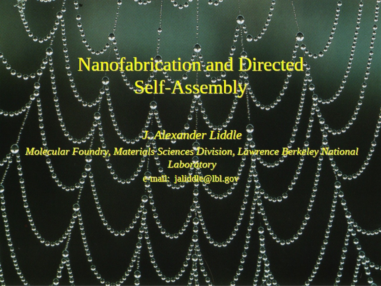 Directed Self-Assembly and Nanofabrication
