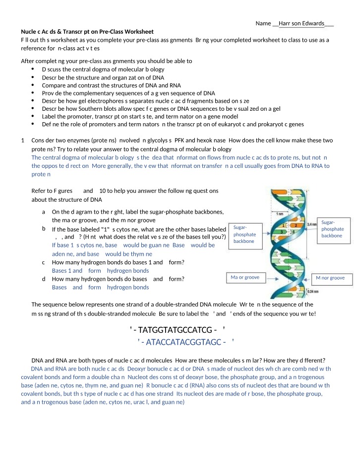 Nucleic Acids and Transcription Pre-Class Worksheet Item 1