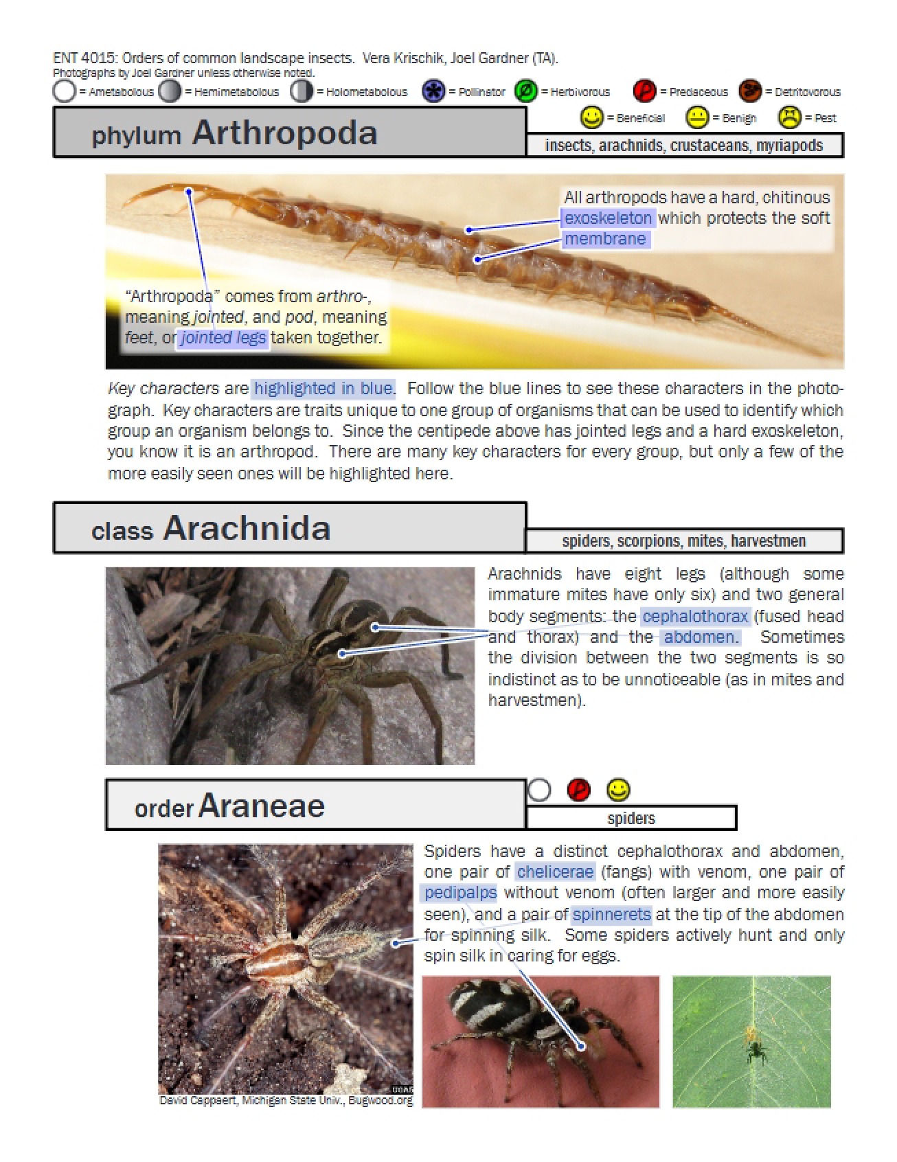 Ornamentals and Turf Entomology Notes