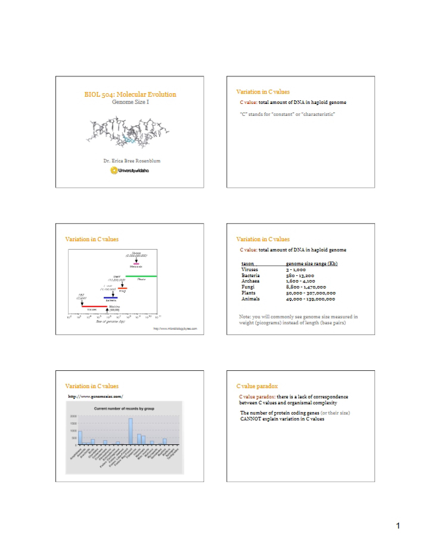 Genome Size Part I