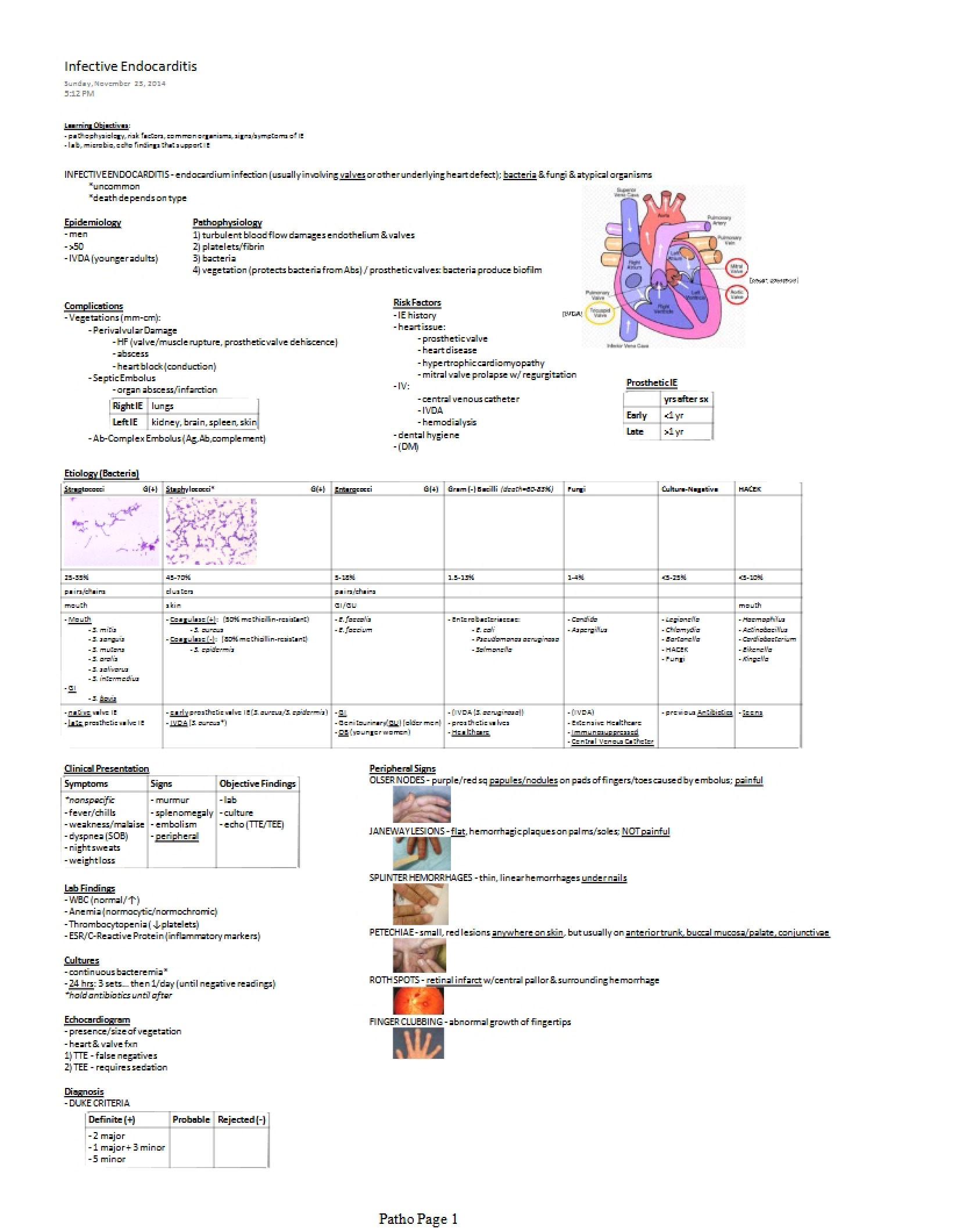 Endocarditis Infective Types