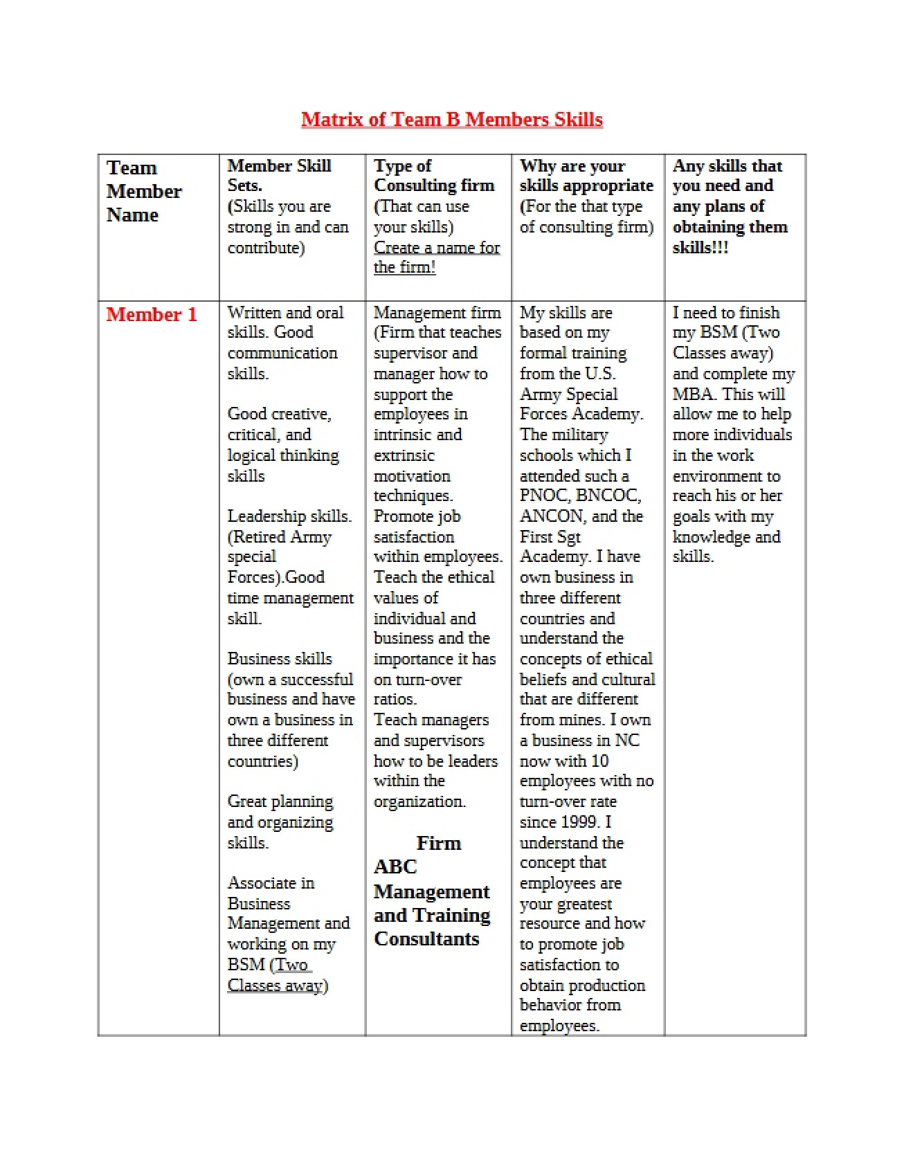 Team B Member Skills Matrix
