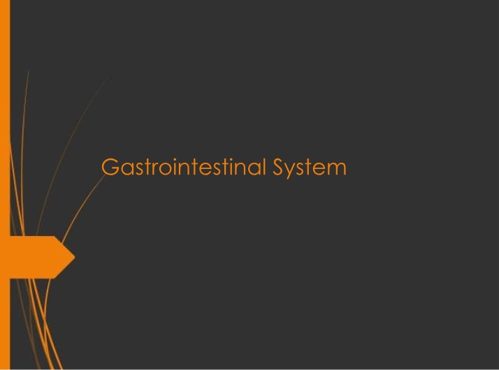 Gastrointestinal System - Conditions, Enzymes, and Organs