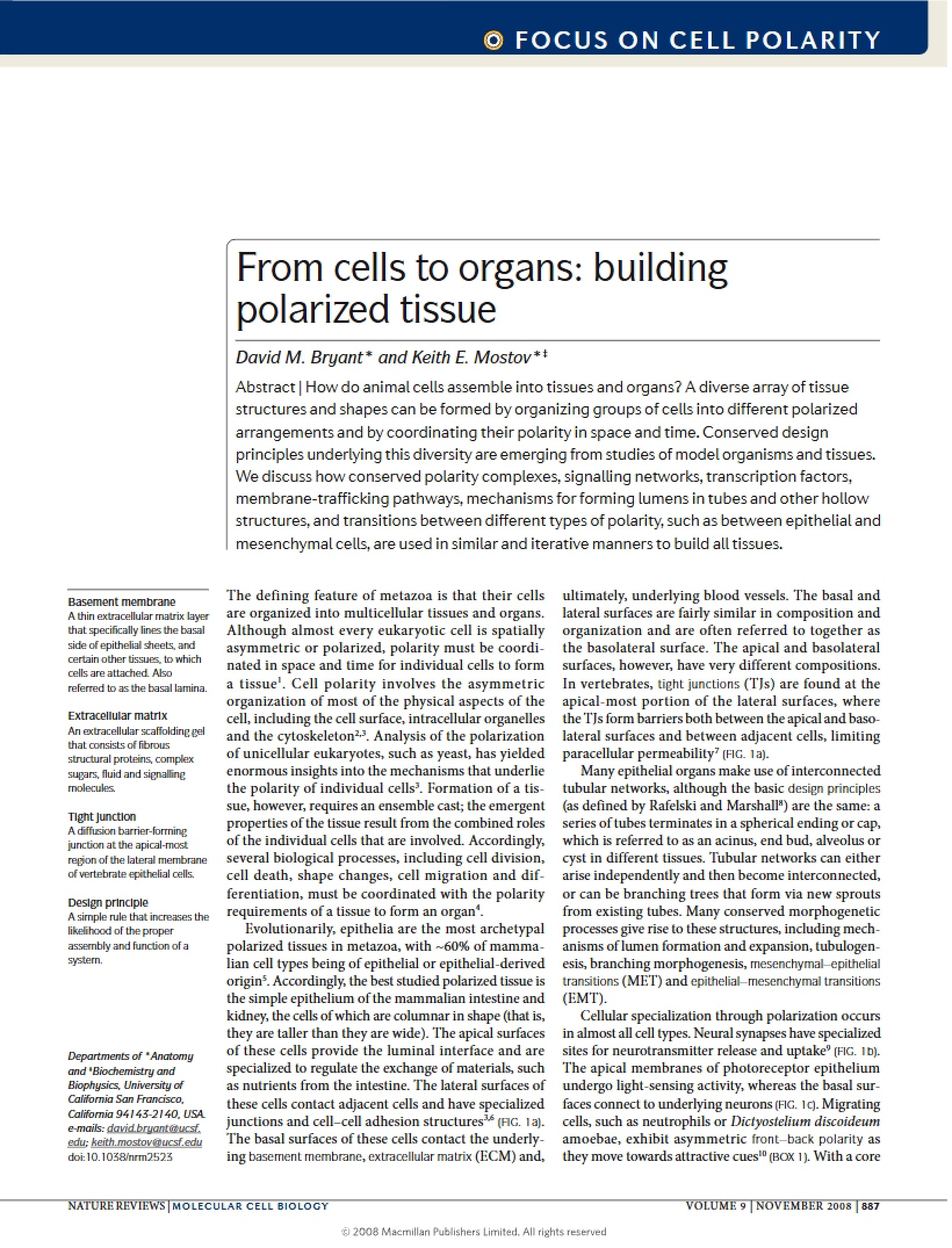 Building Polarized Tissue Cells to Organs