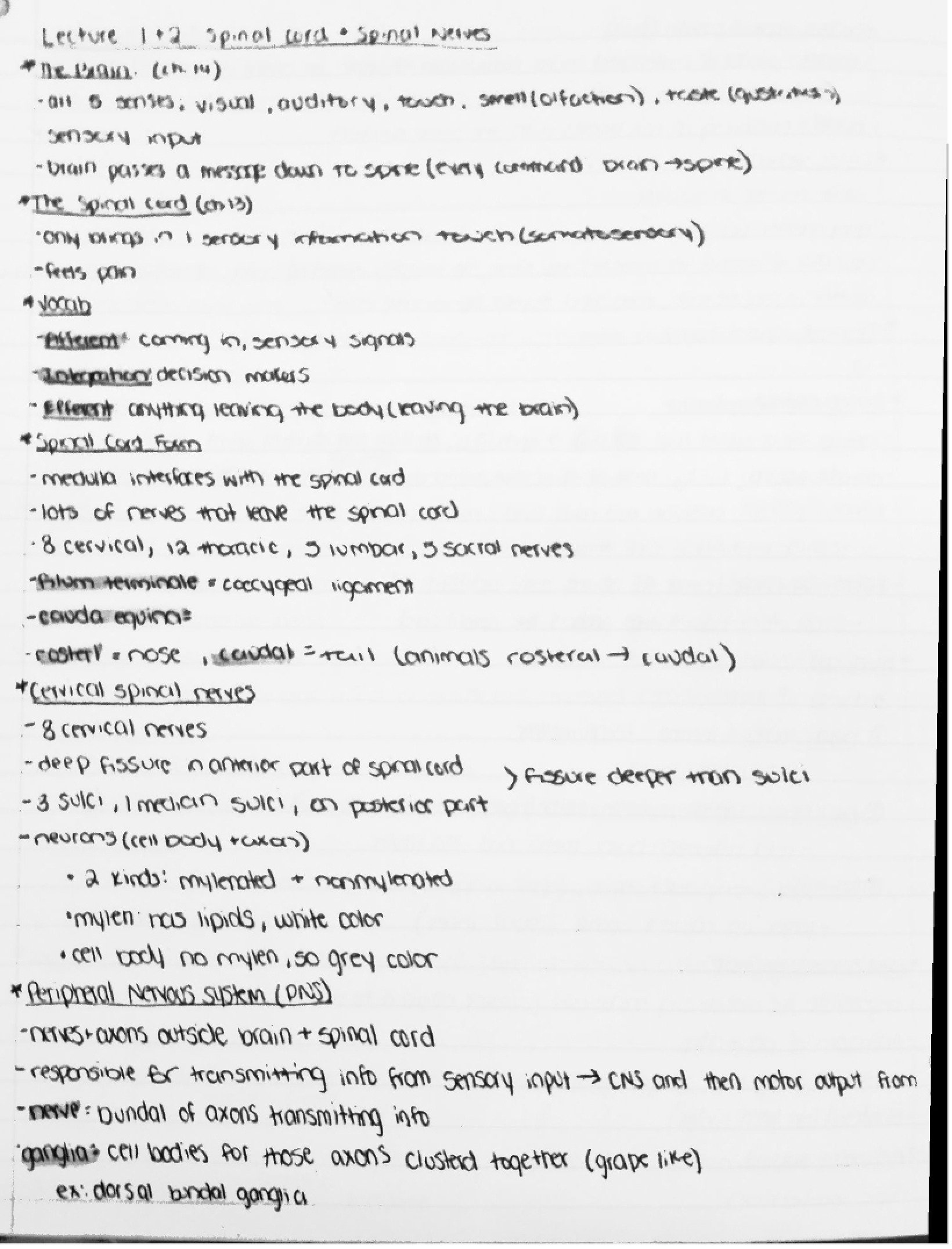 Physics Fundamentals Lecture 1