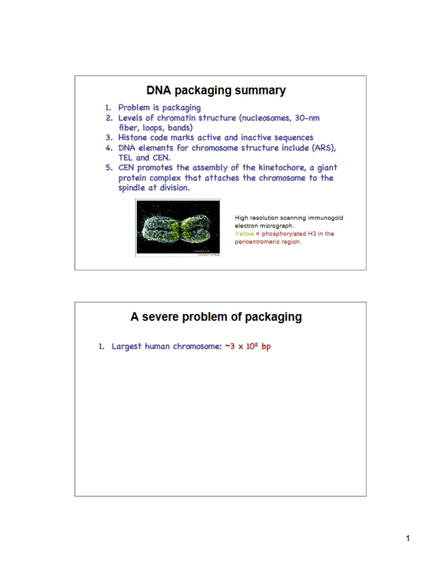 Course Notes