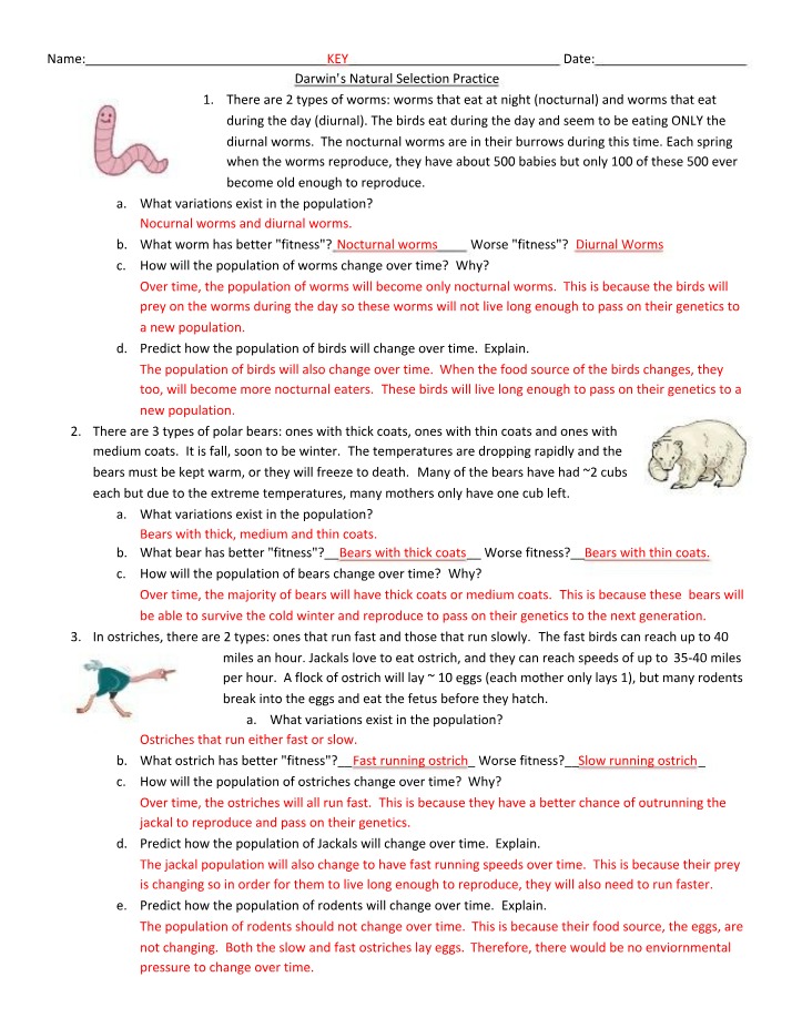 Practice on Darwin's Natural Selection