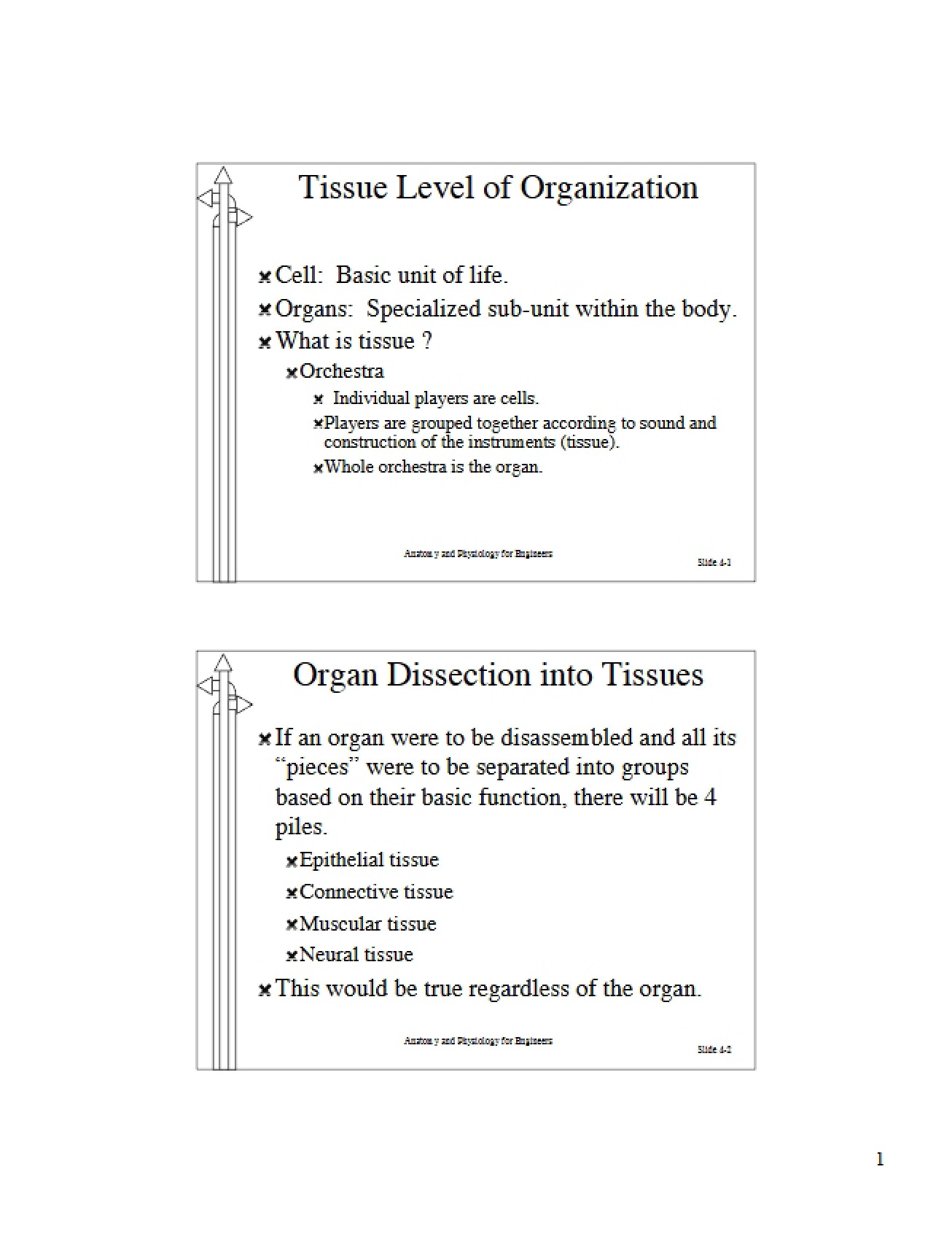 Tissue Level of Organization