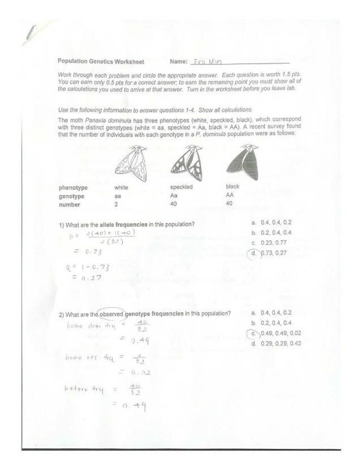 Worksheet - Population Genetics
