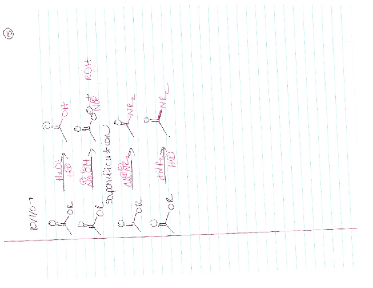 Notes from the Lecture