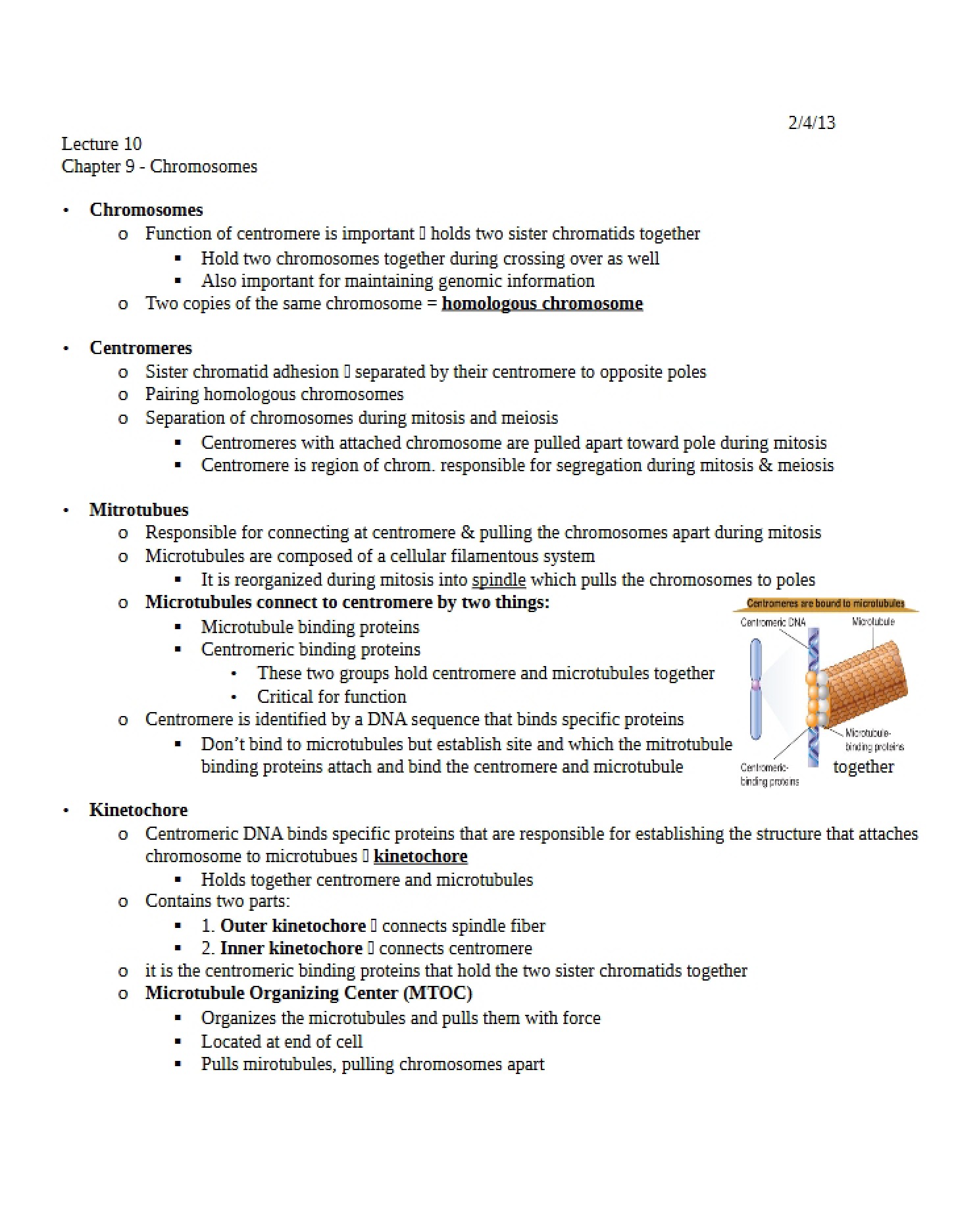 Chromosomal Structure and Function (Chapter 9)