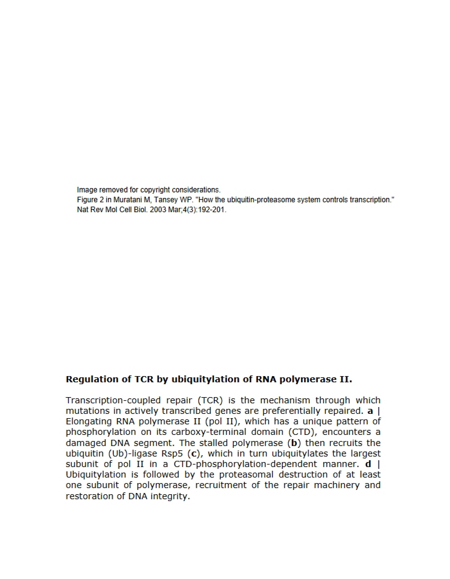 RNA Polymerase II Ubiquitylation and TCR Regulation
