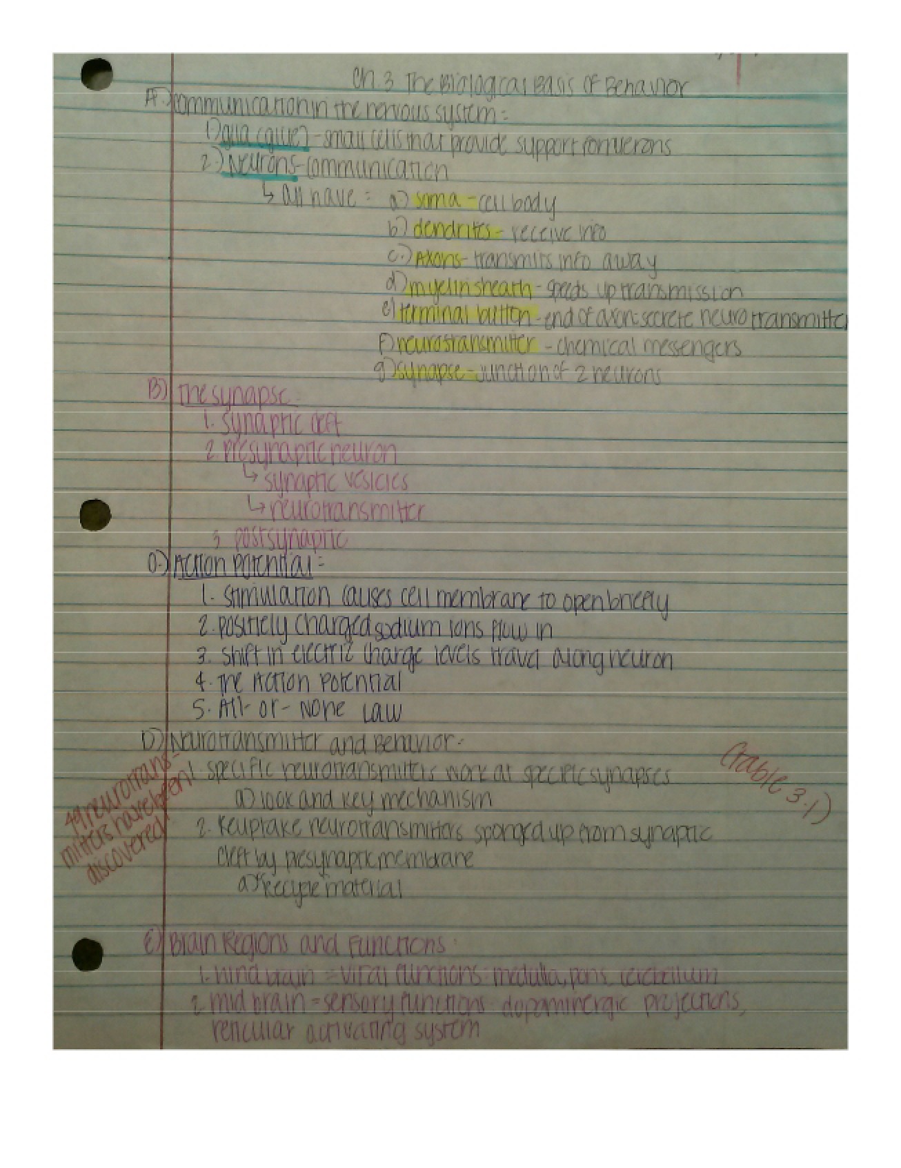 Introductory Psychology Class Notes