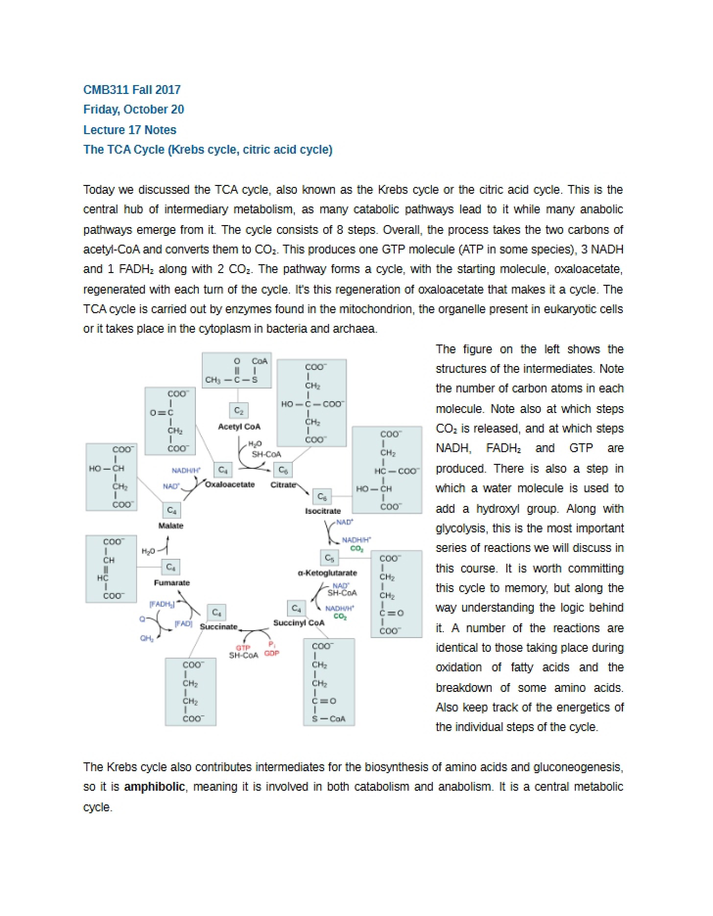 Lecture 17 Notes