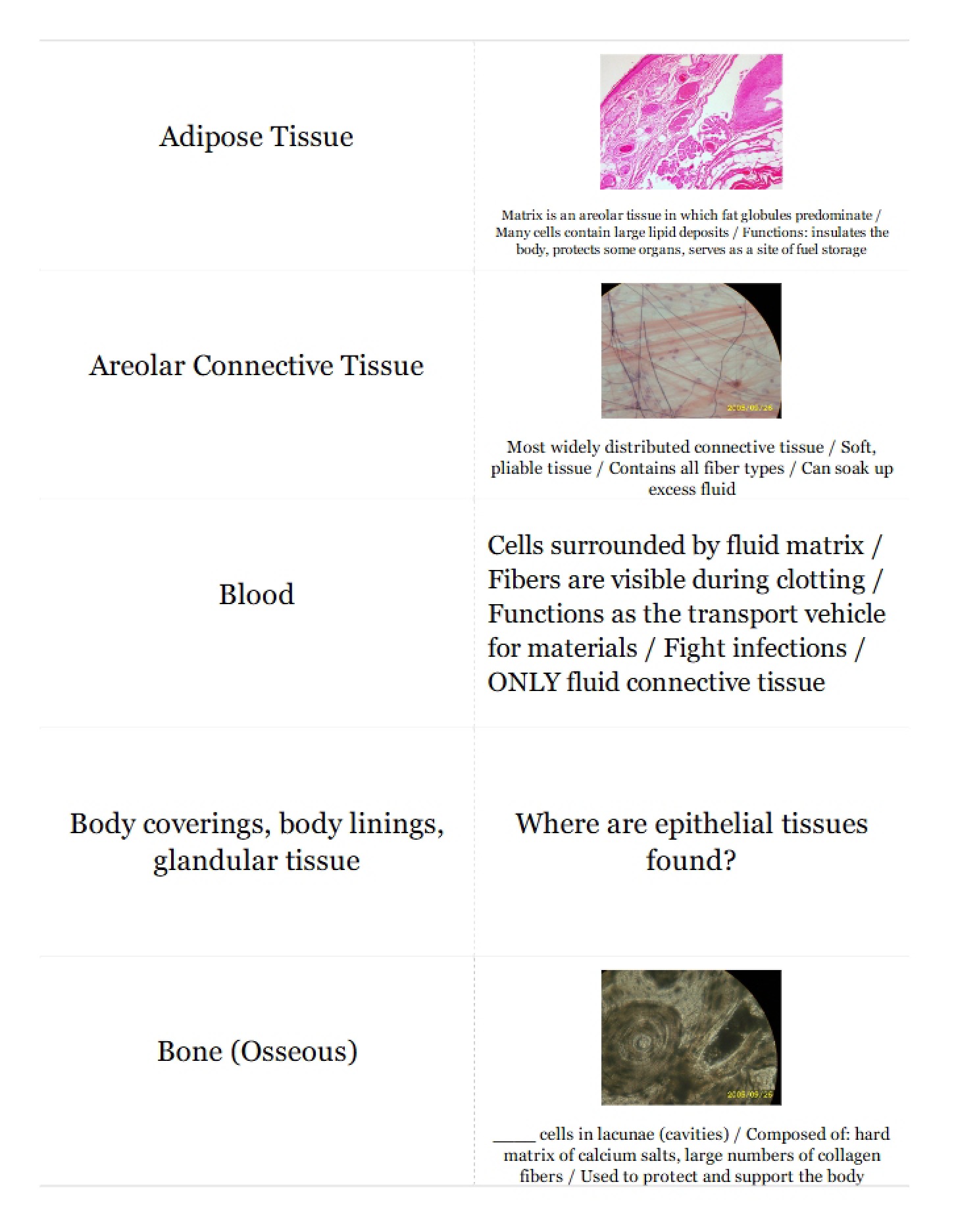 Academic Notes