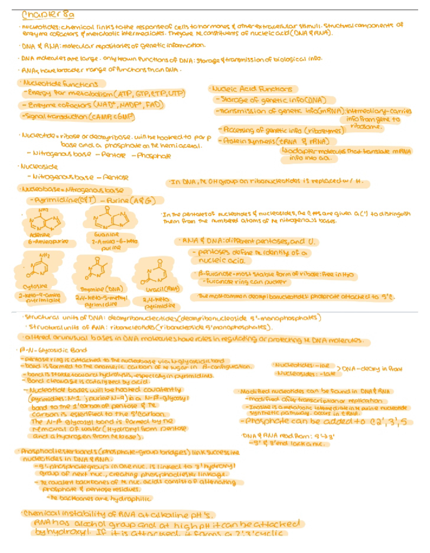Course Notes