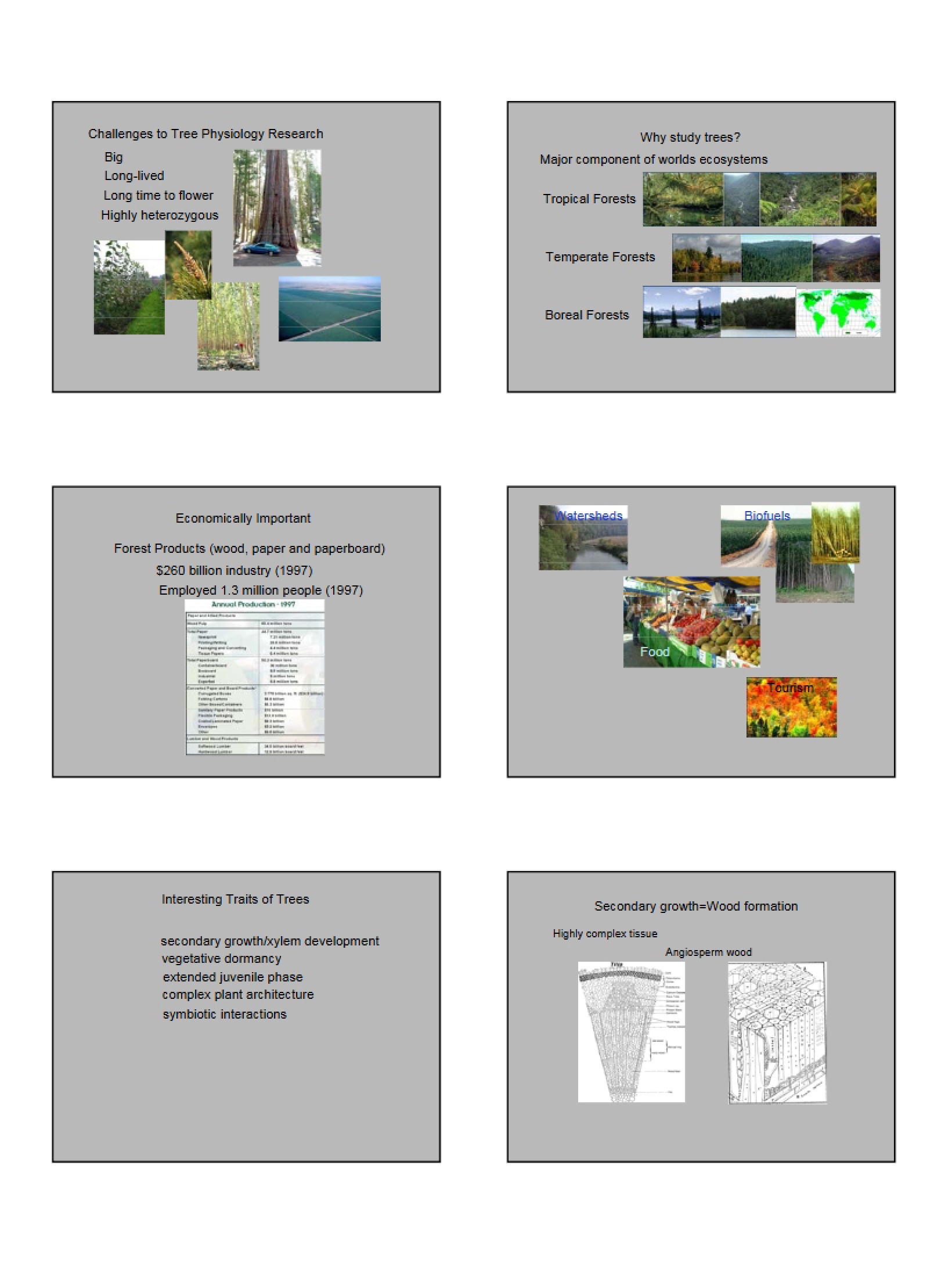 Research Challenges in Tree Physiology