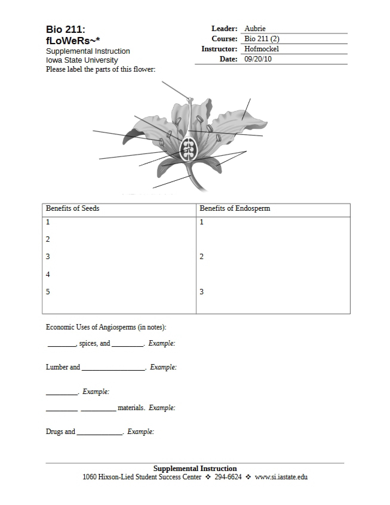Seventh Worksheet for the Biology I Course