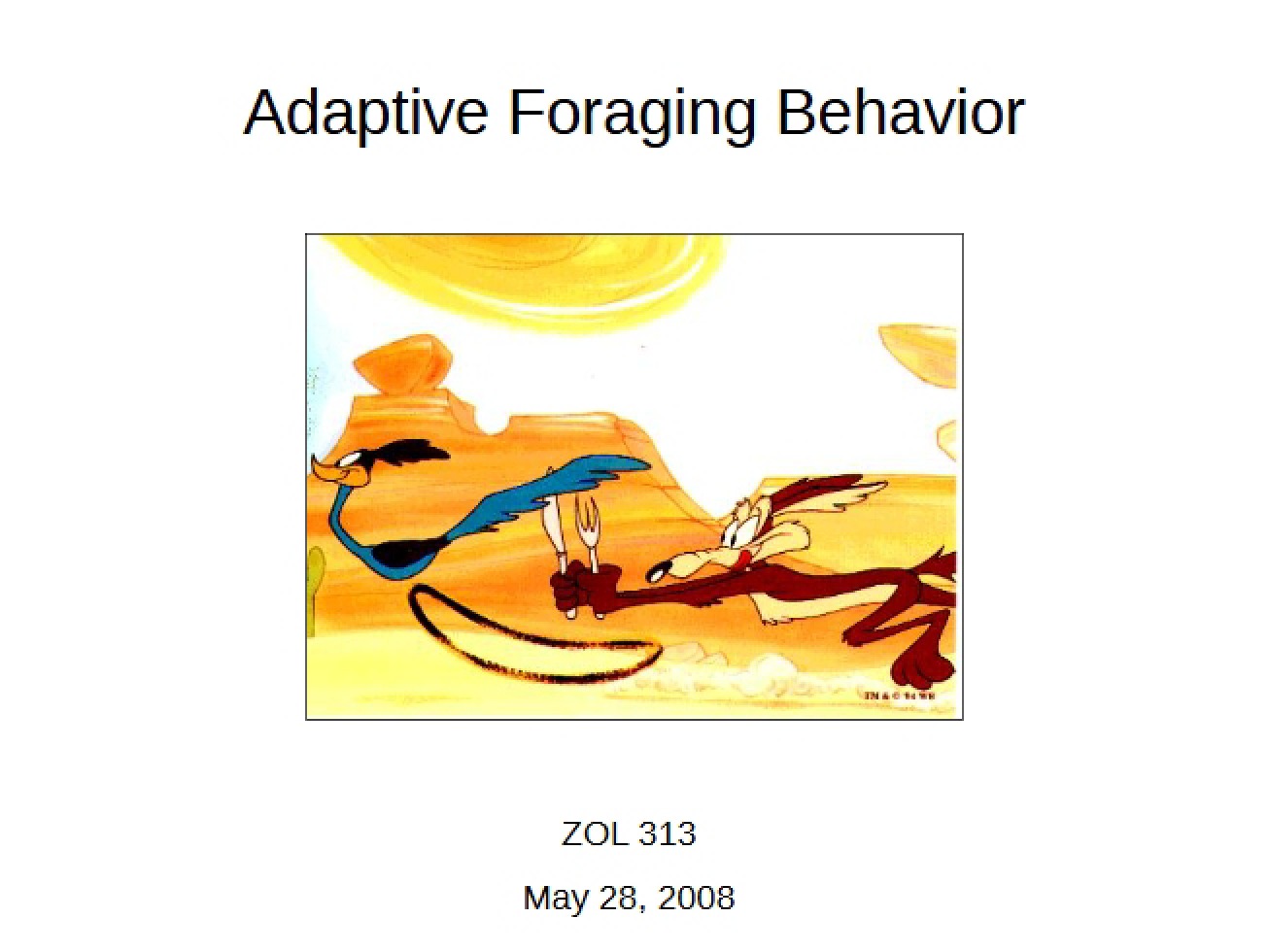 Foraging Behavior