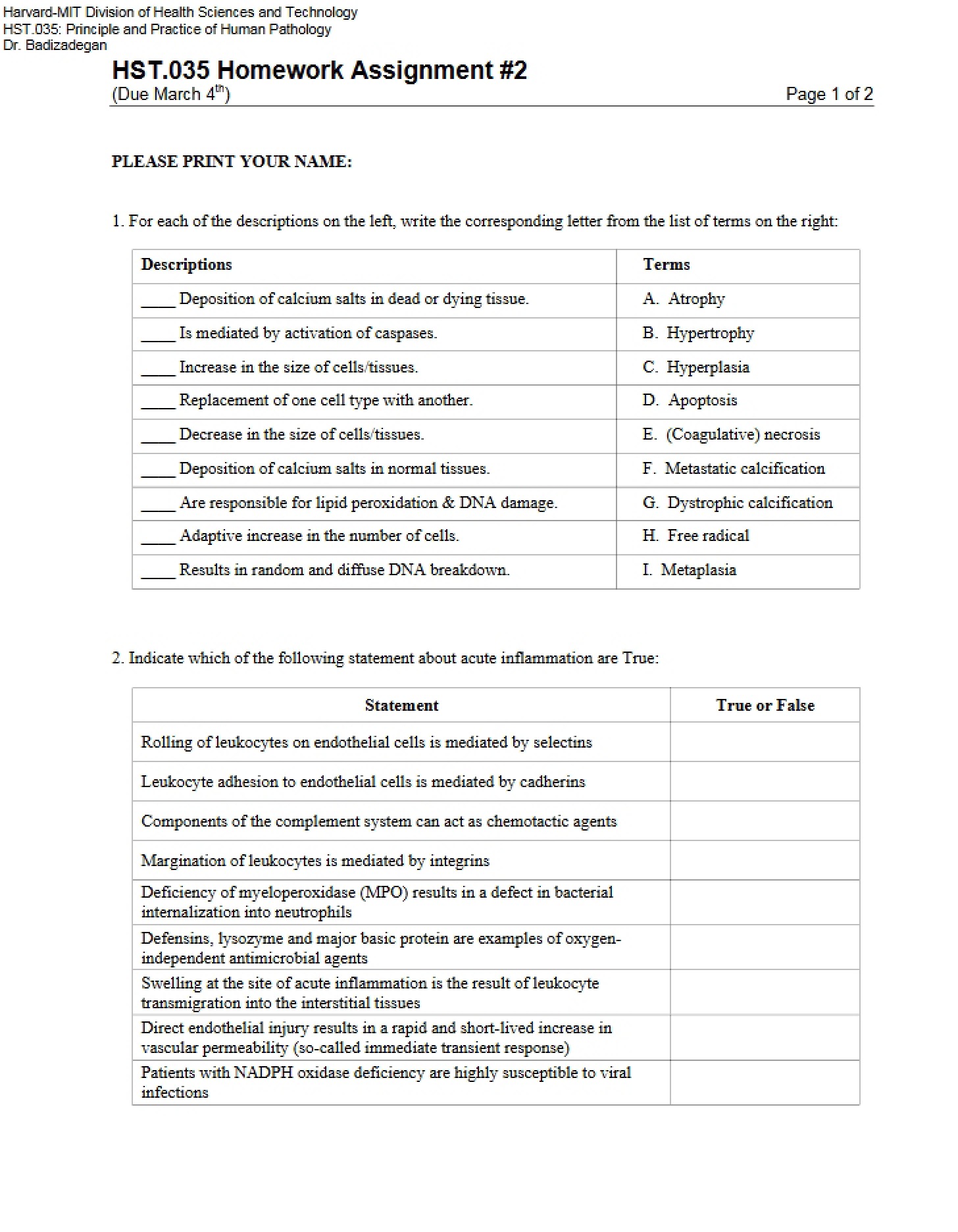 Second Homework Assignment