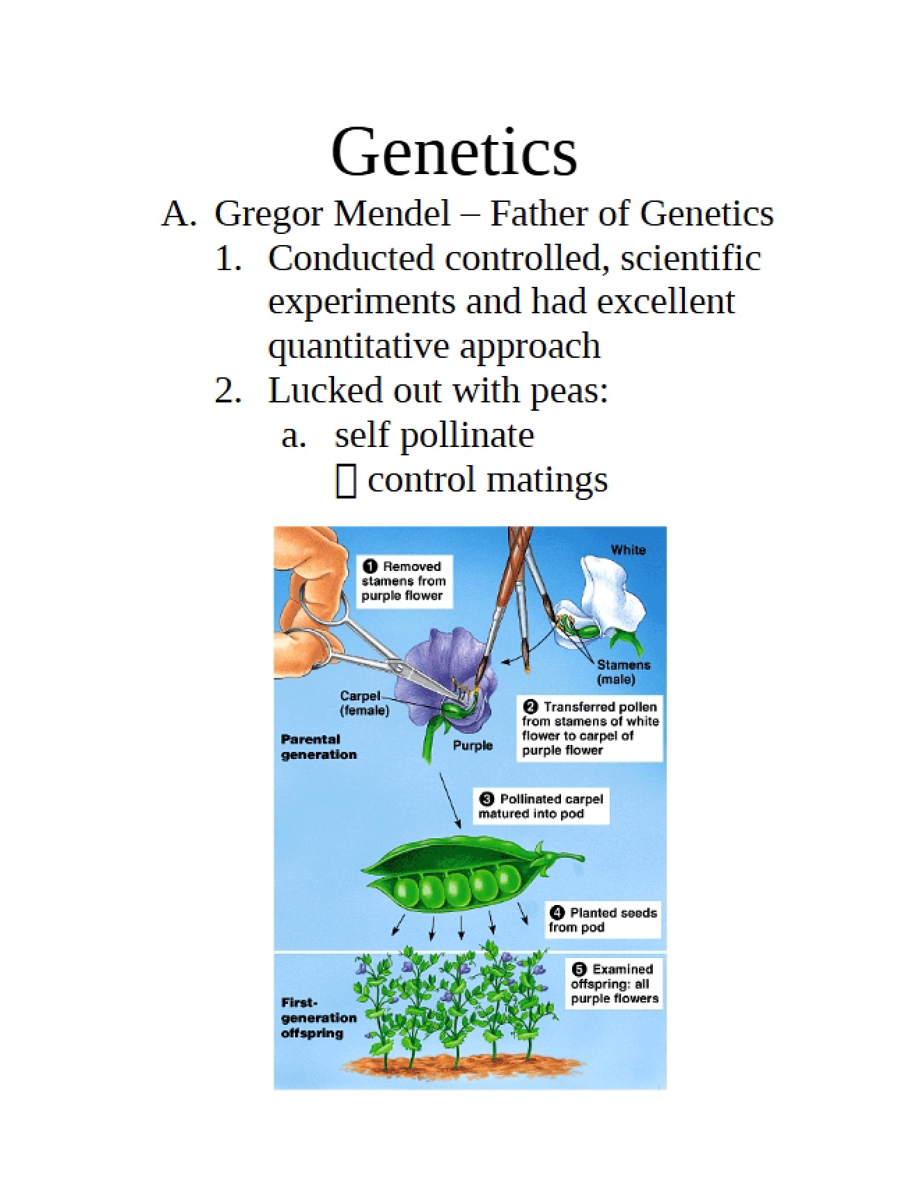 Genetics Overview