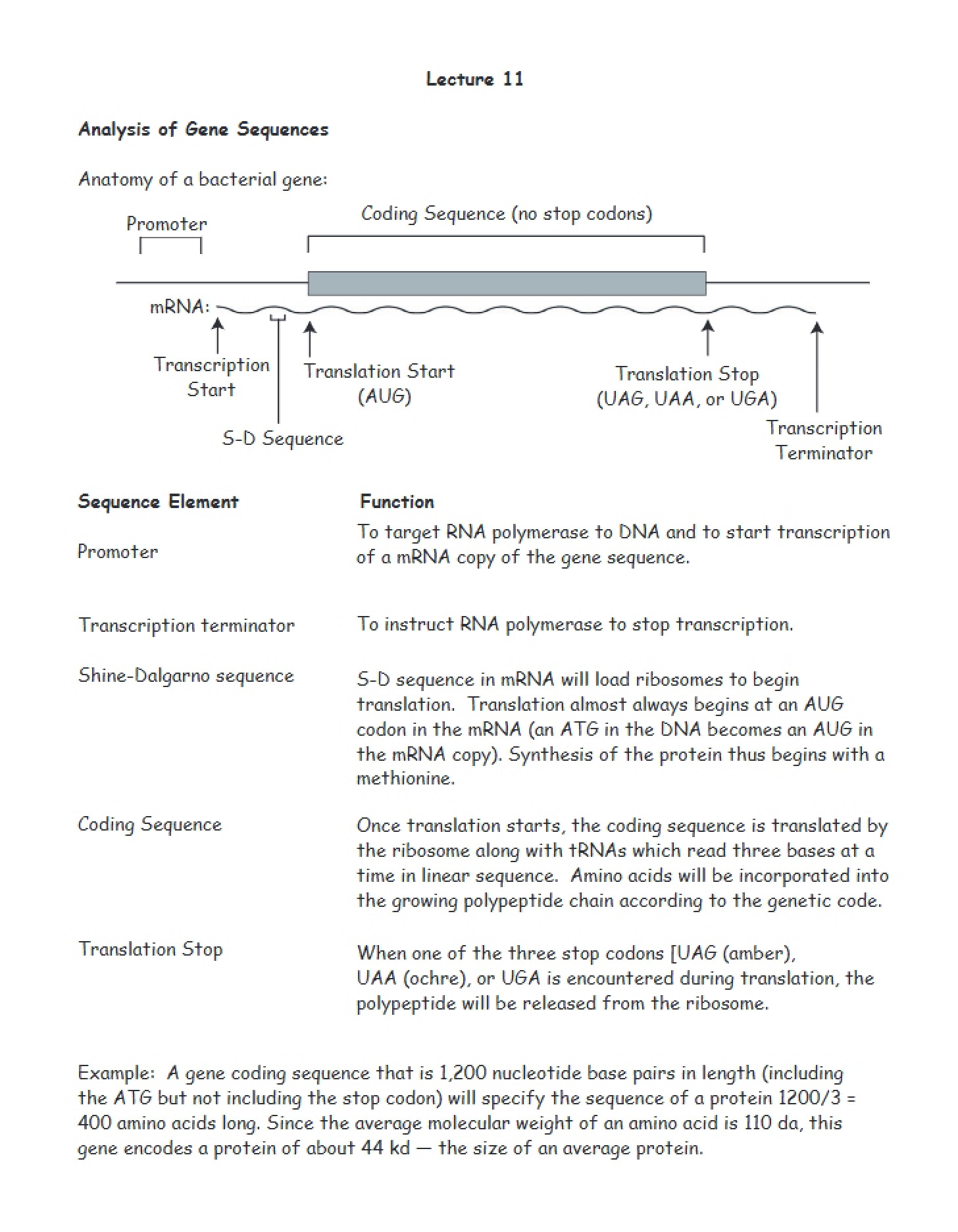 Gene Sequence Analysis