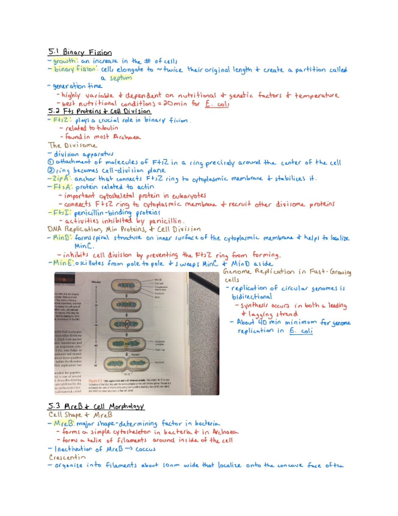Microbiology Lecture Records - Part II