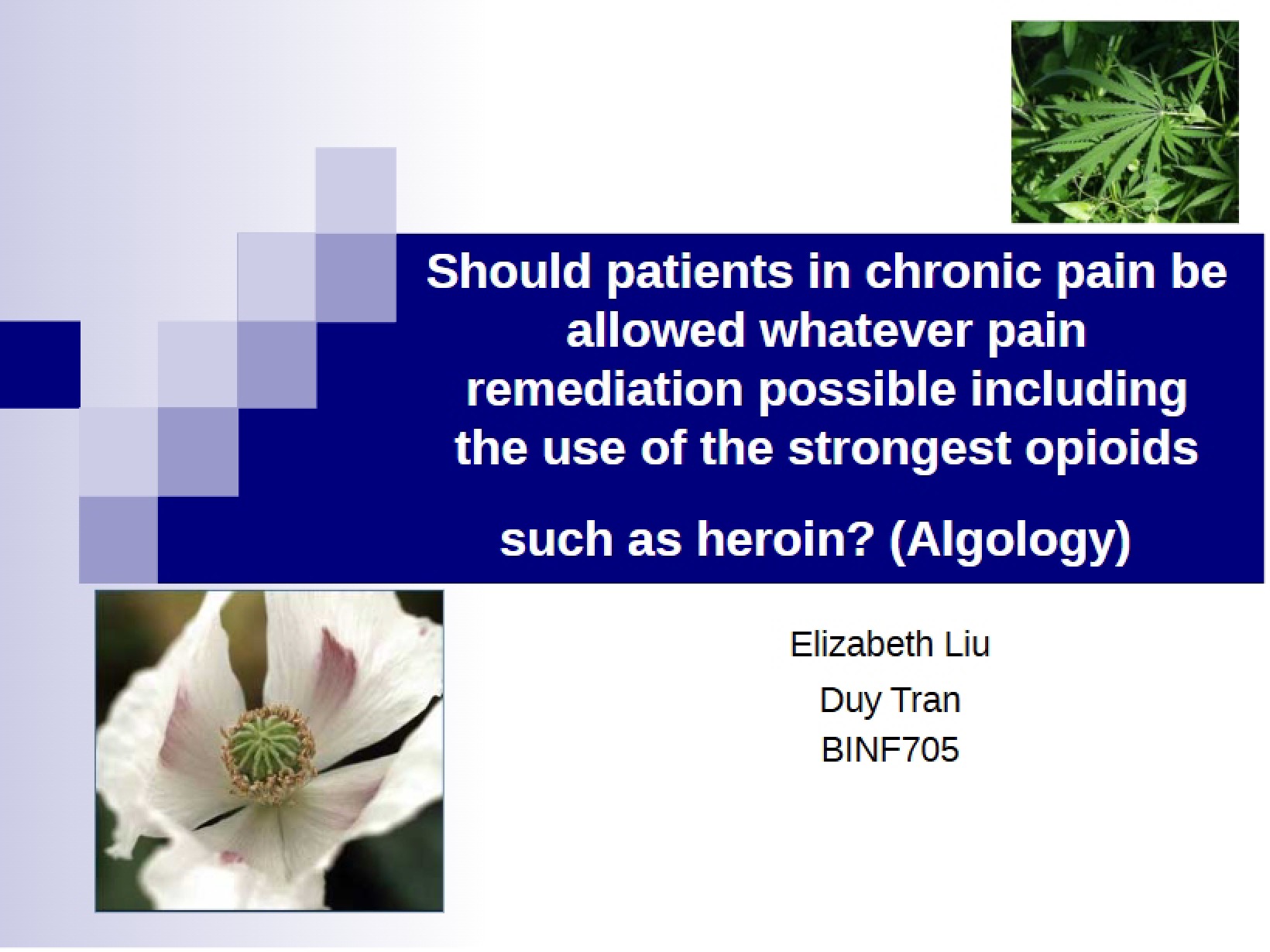 Research Ethics Slides