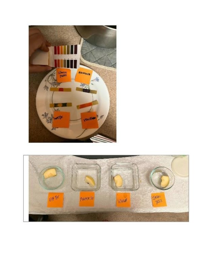 Lab Activity Part B