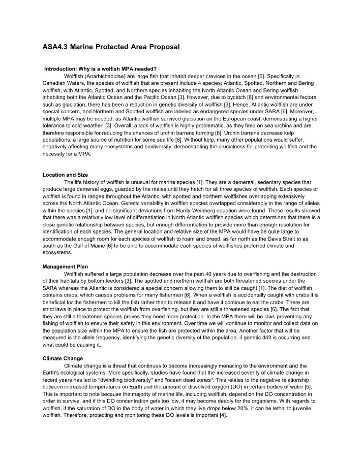 Protecting Wolffish and Biodiversity in Marine Protected Areas