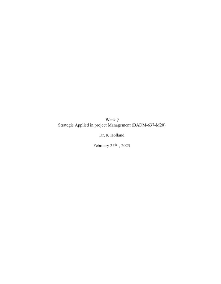 Strategic Risk Management Plan for Project Success