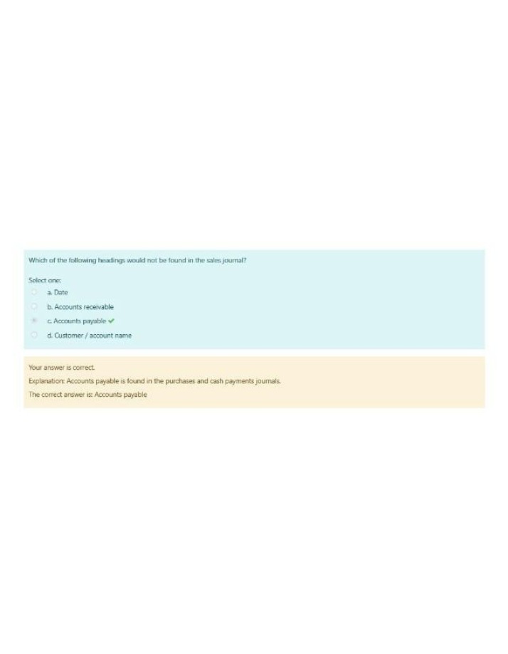 Sales Journal Headings and Exclusions