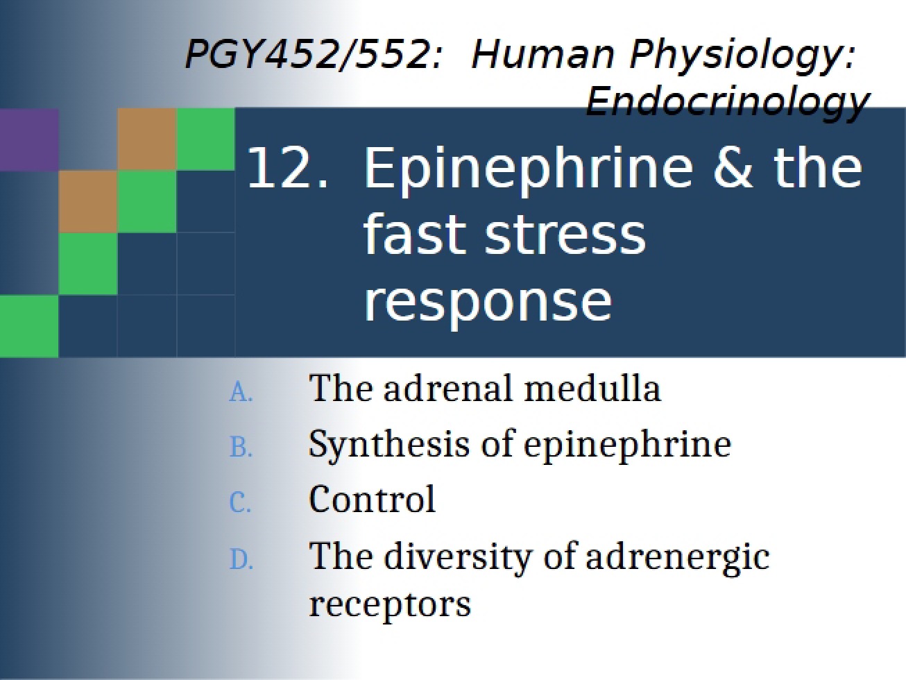 2017 Epinephrine Notes (Topic 12)
