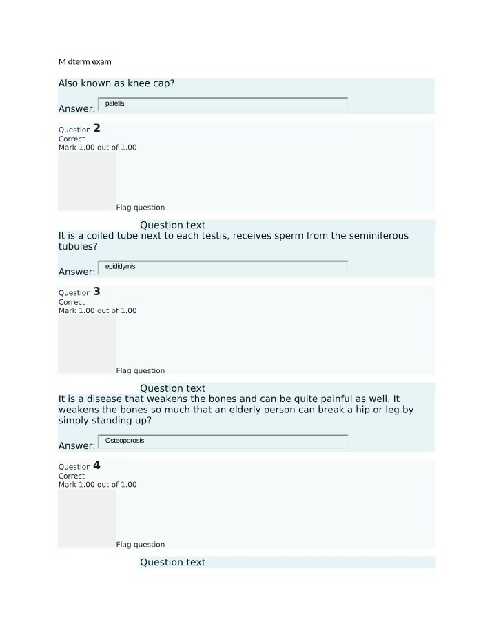 ART234 - Midterm Exam
