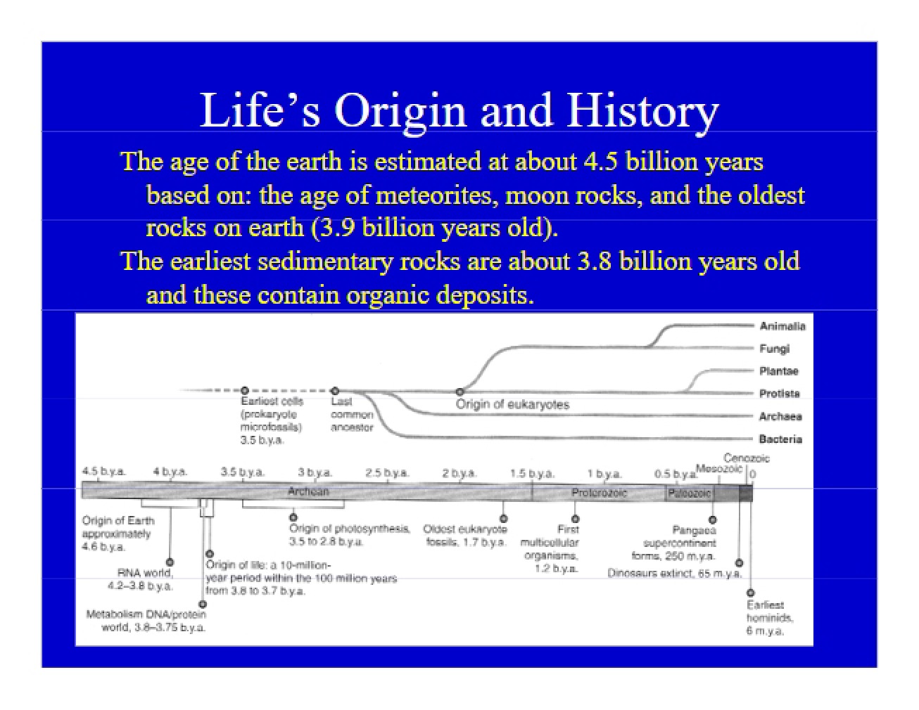 Origins of Life on Earth