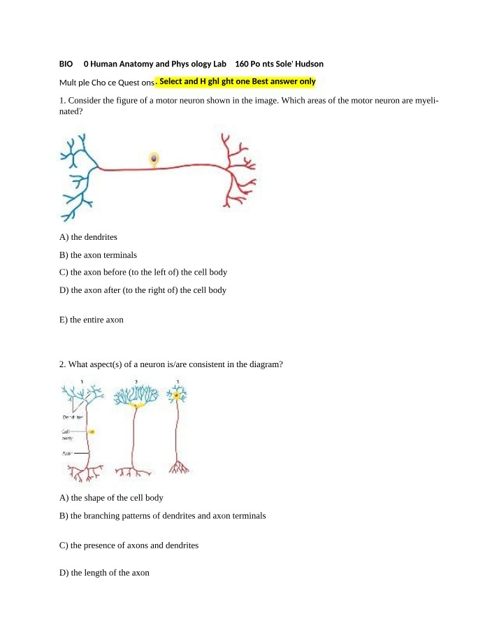 Neuronal Myelination and Motor Neuron Structure and Function