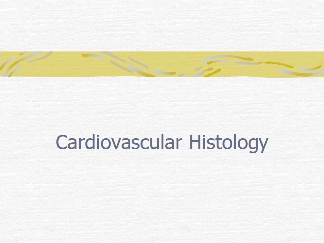 Cardiovascular Histology - Lab Two