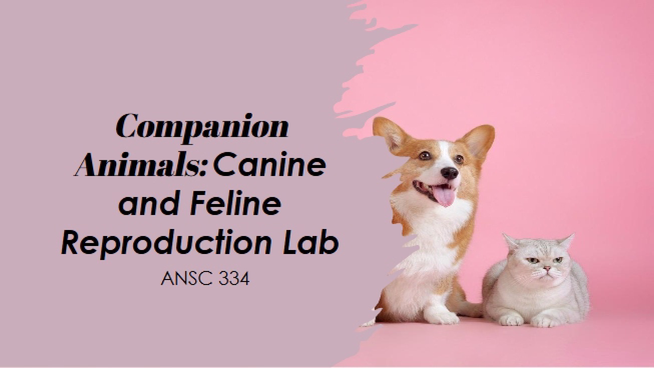 Laboratory on Canine and Feline Reproduction