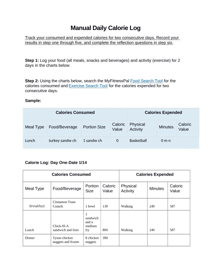 Manual Daily Calorie Log Secondary Copy