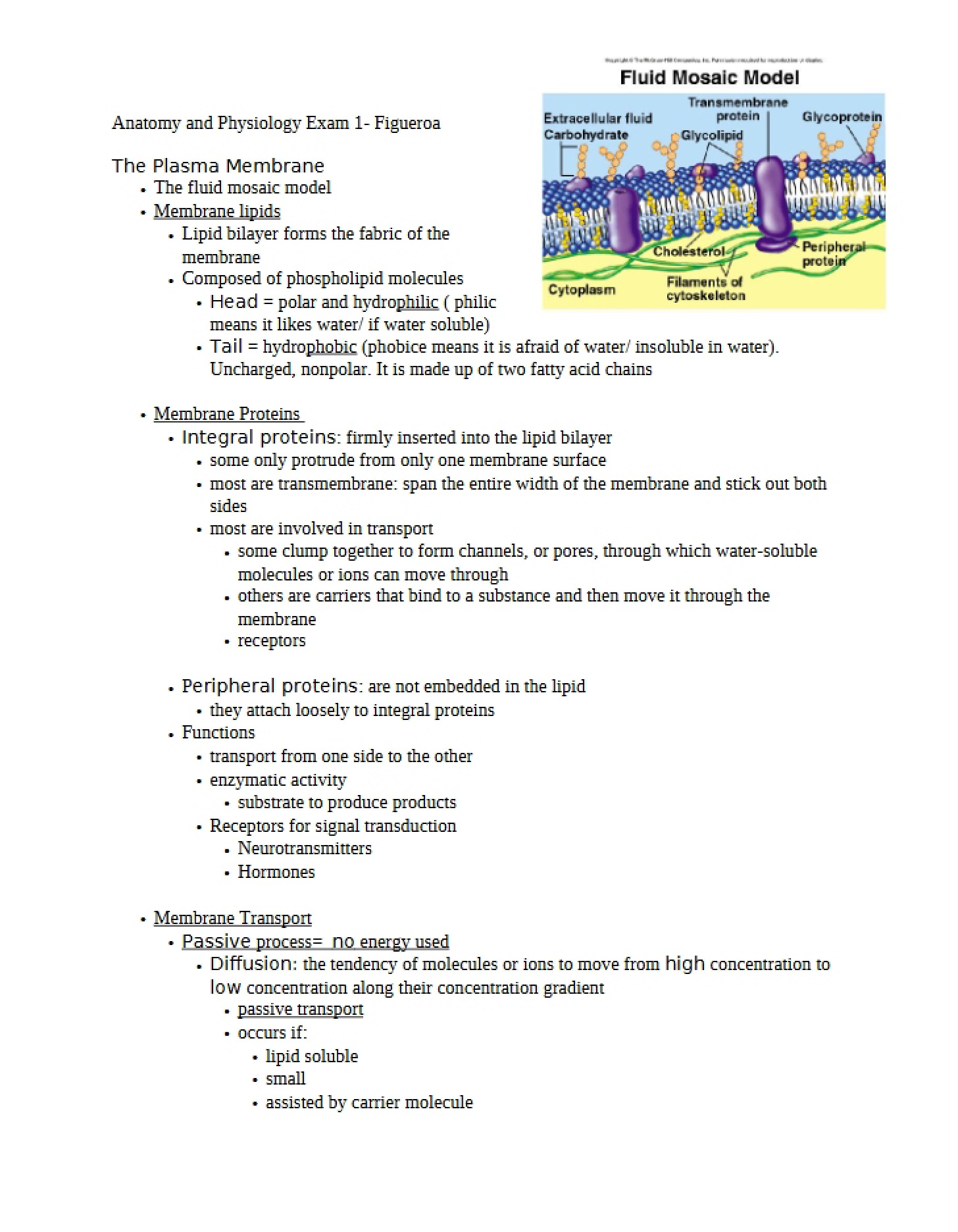 Examination 1 for Anatomy & Physiology